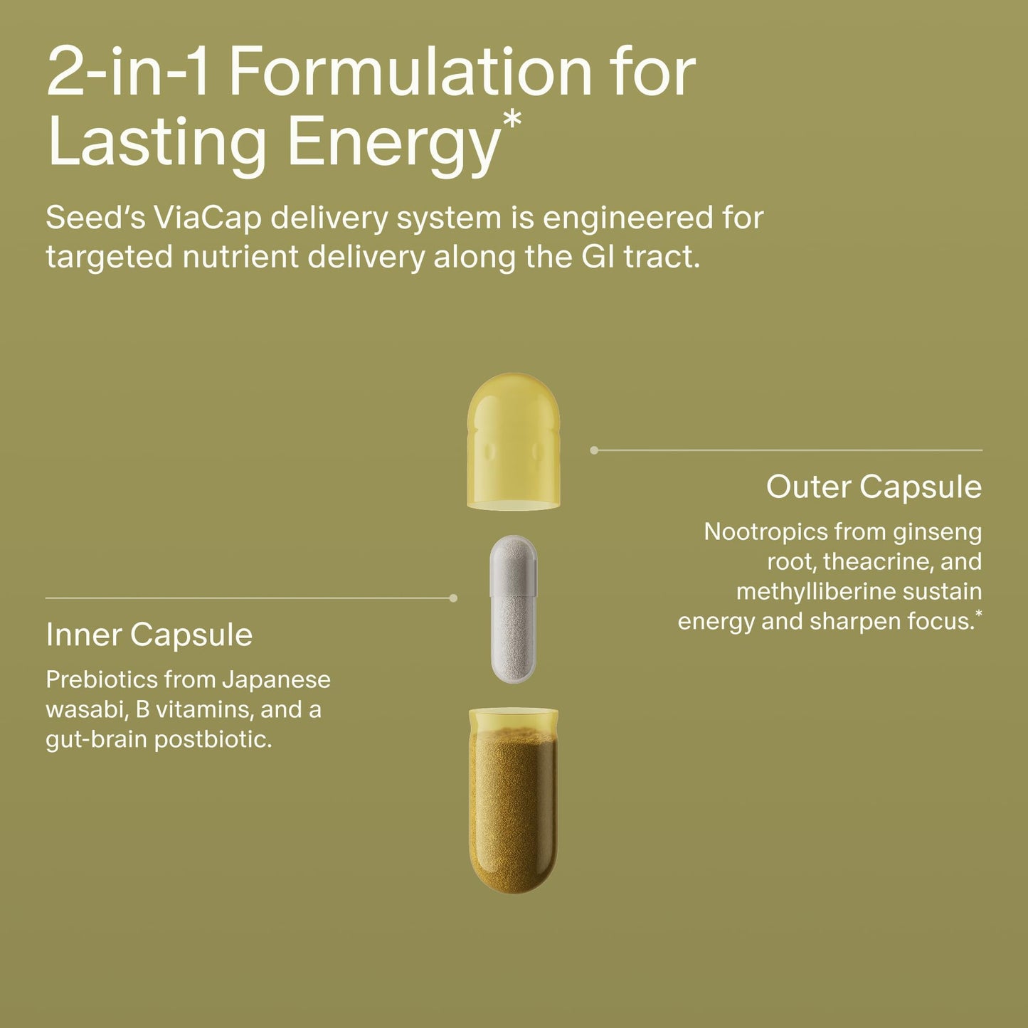 Seed AM-02 Energy + Focus: Daily Nootropic (Caffeine-Free, 30 Capsules)
