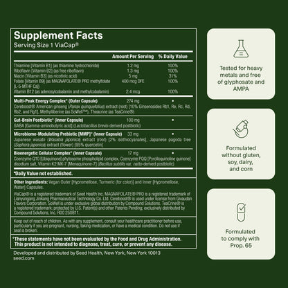 Seed AM-02 Energy + Focus: Daily Nootropic (Caffeine-Free, 30 Capsules)