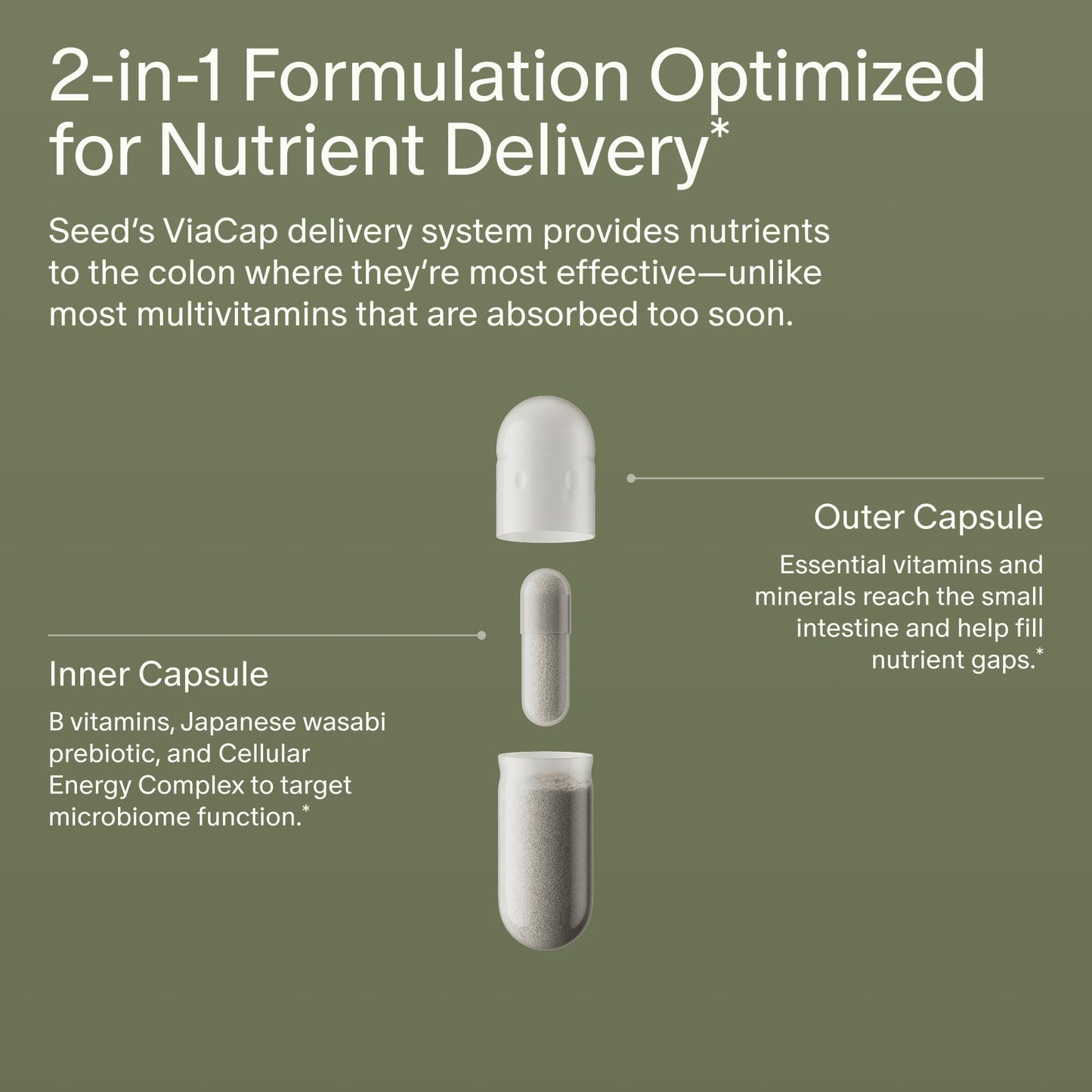 Seed DM-02 Daily Multivitamin – 100% DV Essentials for Immune, Bone, Hair & Nails (Vegan, 30-Day)