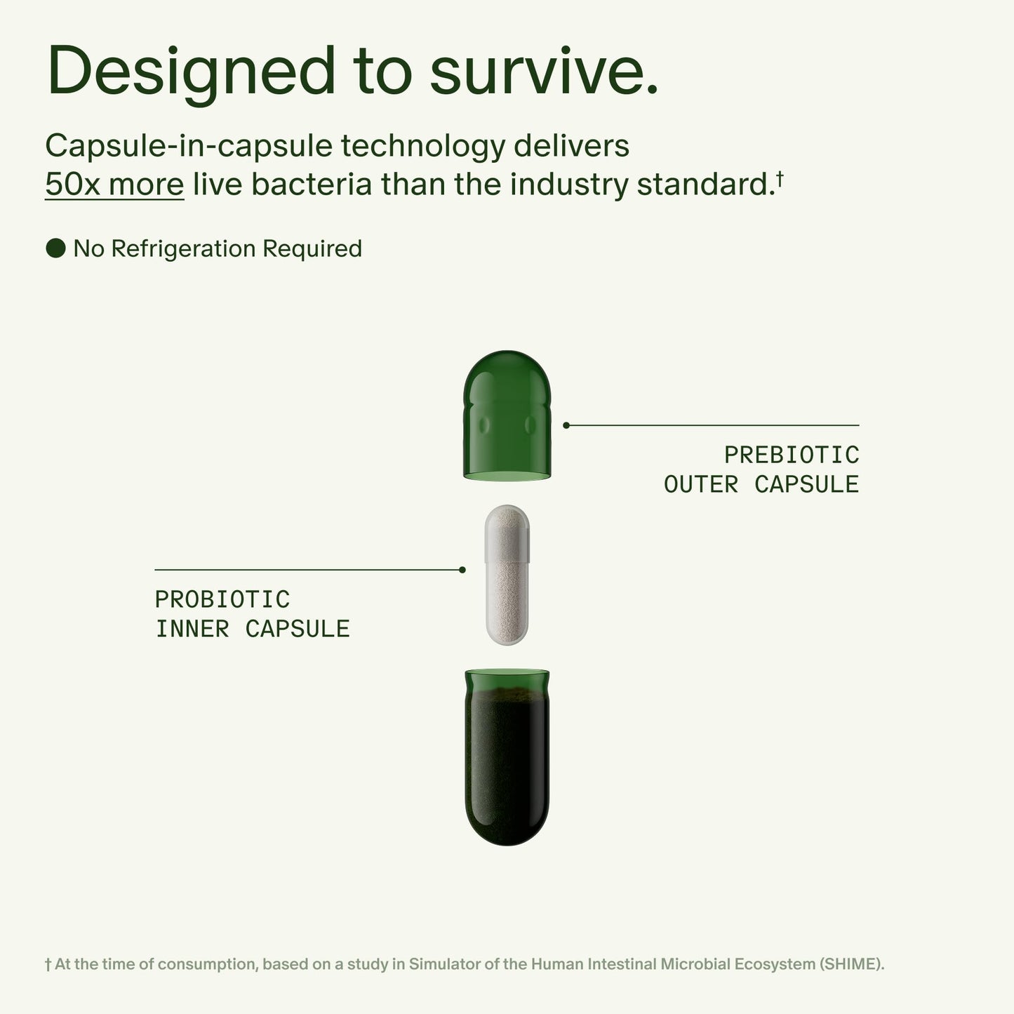 Seed DS-01 Daily Synbiotic - 60 Capsules | Prebiotic + Probiotic for Digestive Health, Immune Support, Bloat Relief