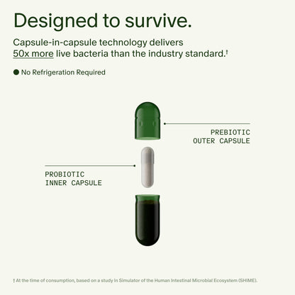 Seed DS-01 Daily Synbiotic - 60 Capsules | Prebiotic + Probiotic for Digestive Health, Immune Support, Bloat Relief