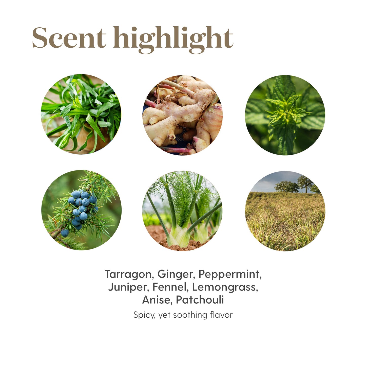 Digize Essential Oil 5ml by Young Living Essential Oils