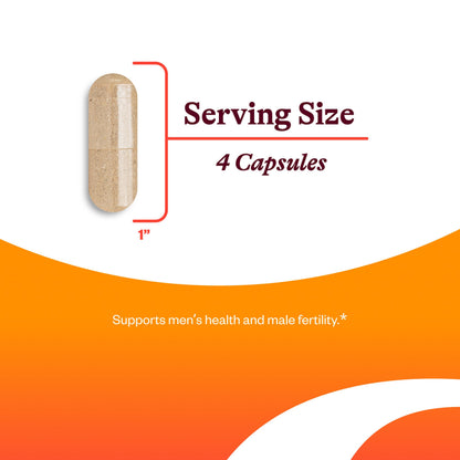 Seeking Health Optimal Man Multivitamin — Zinc, Active Folate & Alpha-Lipoic Acid for Energy & Brain Health | 30 Servings