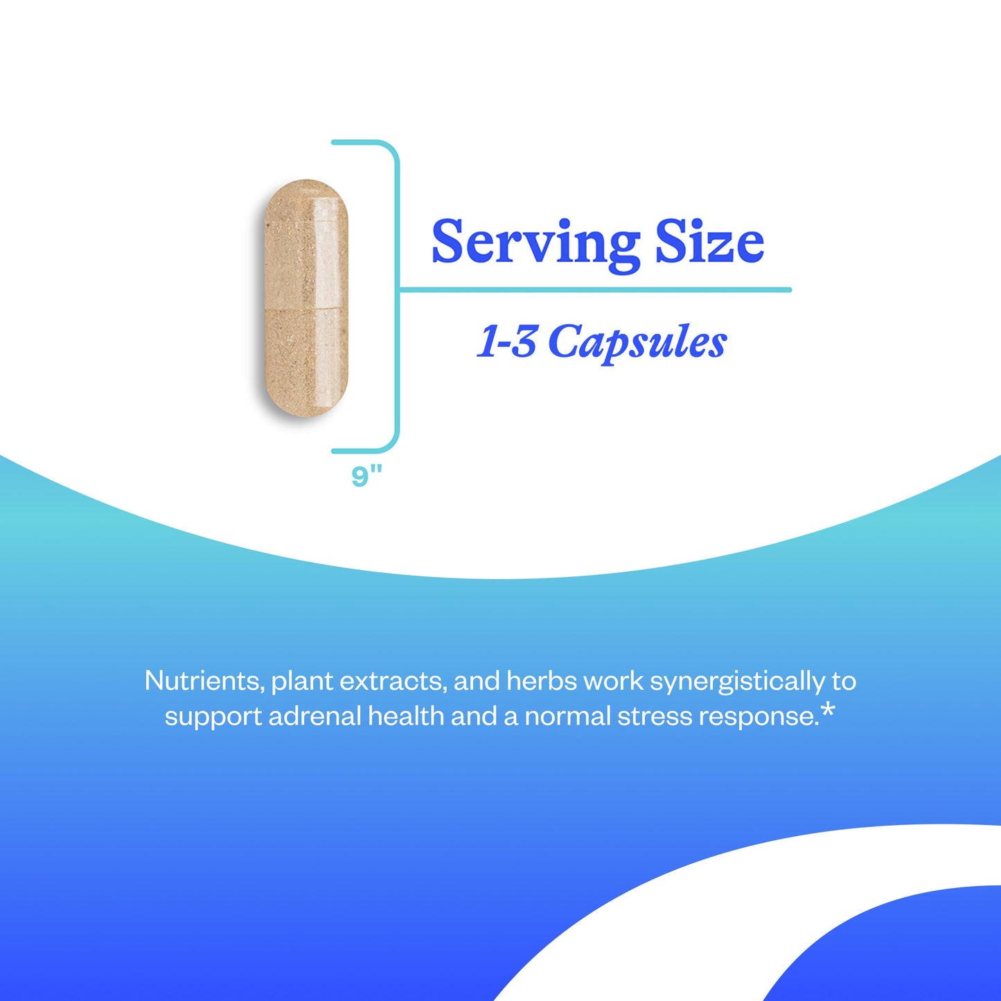 Seeking Health Stress Nutrients – Adrenal Support, Cortisol Regulation & Normal Stress Response (90 capsules)