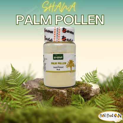 Shana Palm Pollen Powdered Natural Pure Date (1 Pack = 1.76 oz / 50 gm)