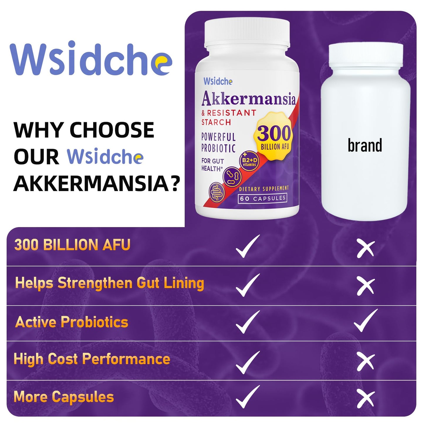 Wsidche 300 Billion AFU Akkermansia Probiotic | 3 Packs for Digestive & Gut Support