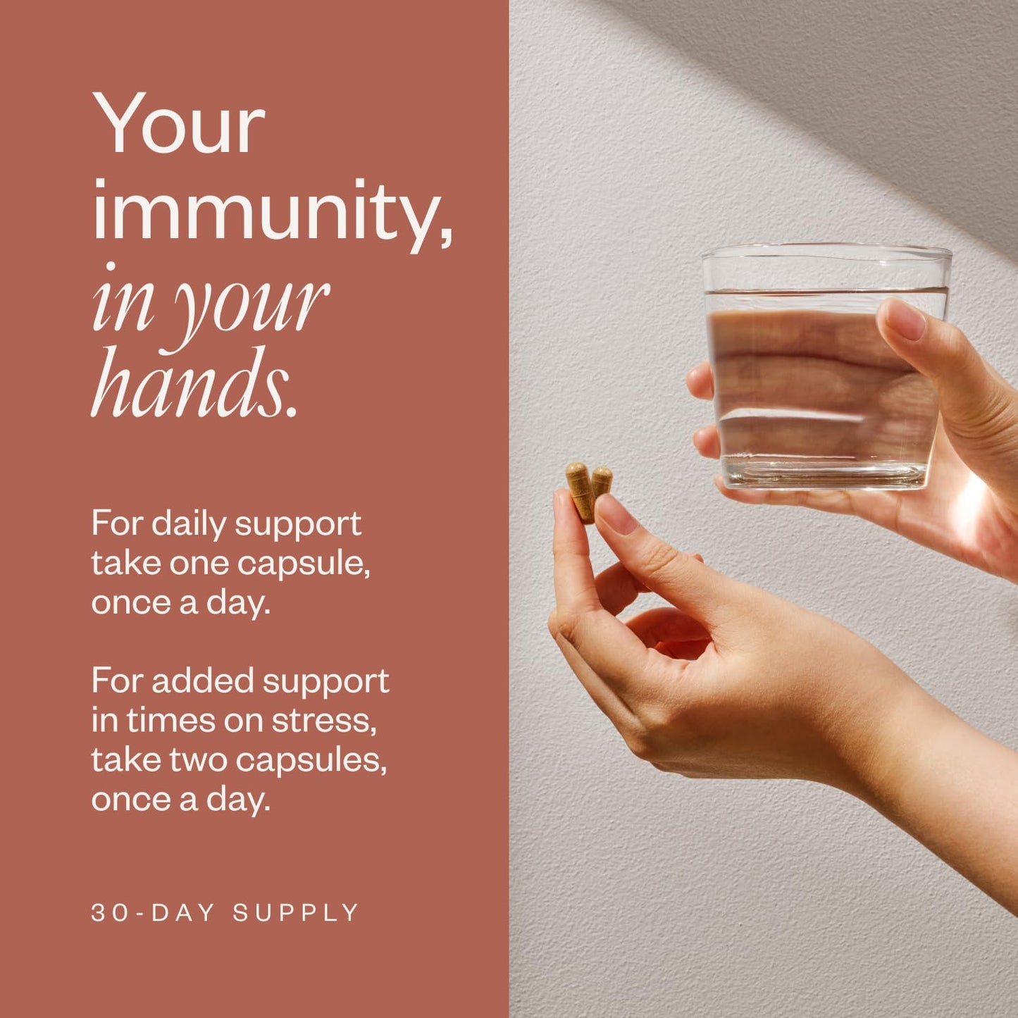 SHII AHCC Daily Immunity – 30-Day Supply | Vegan, Gluten-Free Immune Support