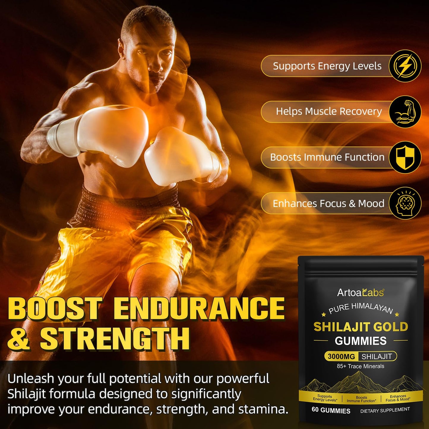 Shilajit Gummies for Men & Women – Himalayan Shilajit Gold with Ashwagandha (60 Gummies)