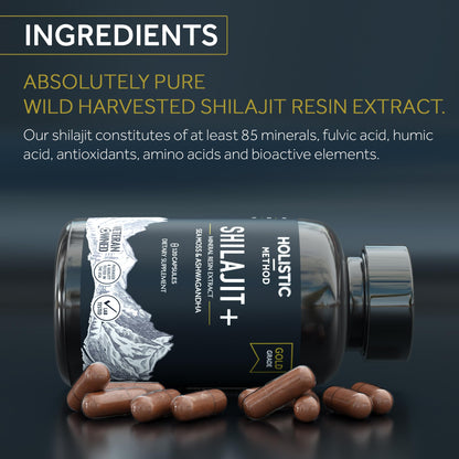 Holistic Method Shilajit Capsules - Pure Himalayan, 120 Count (Energy & Immune Support)