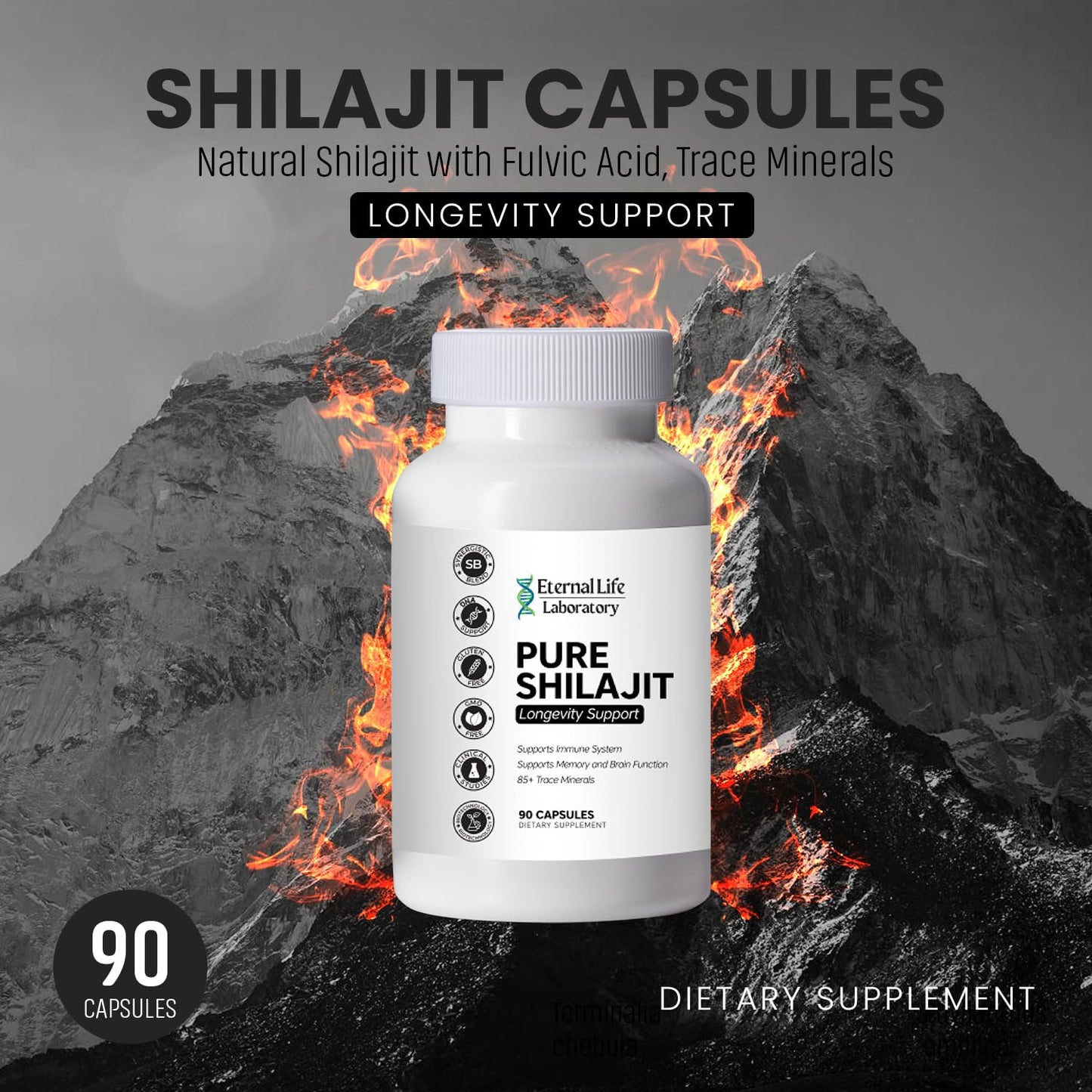 100% Pure Shilajit  Organic Himalayan Shilajit 1000mg | 85+ Minerals