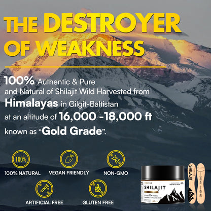Shilajit Resin Organic – 600mg Gold Grade, 100 Servings, 85+ Minerals & Fulvic Acid