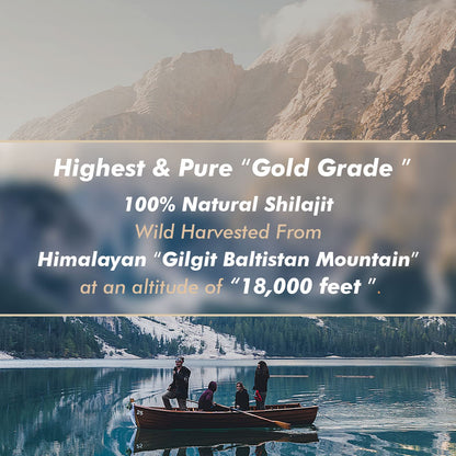 Hima Shilajatu Shilajit Resin – Gold Grade, 100% Pure, 85+ Minerals | 3-Pack (6 Months)