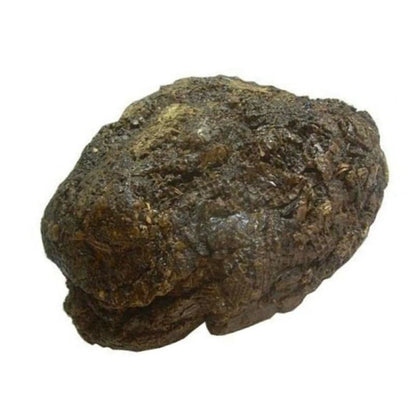 Shiva Organic Raw Propolis Block, Raw & Unprocessed Propolis Block (1000, Grams)