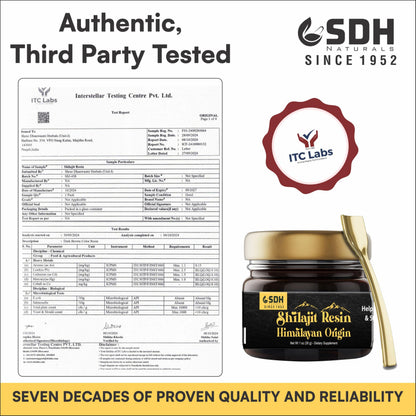SHREE DHANWANTRI HERBALS Himalayan Shilajit Resin – 30g (2-Month) for Energy & Focus