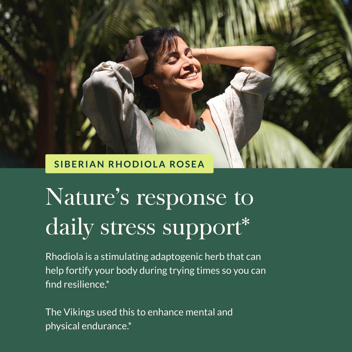 Gaia Herbs Rhodiola Rosea - Stress Support & Endurance - Siberian Root Extract - 120 Vegan Liquid Phyto-Caps (120 Servings)