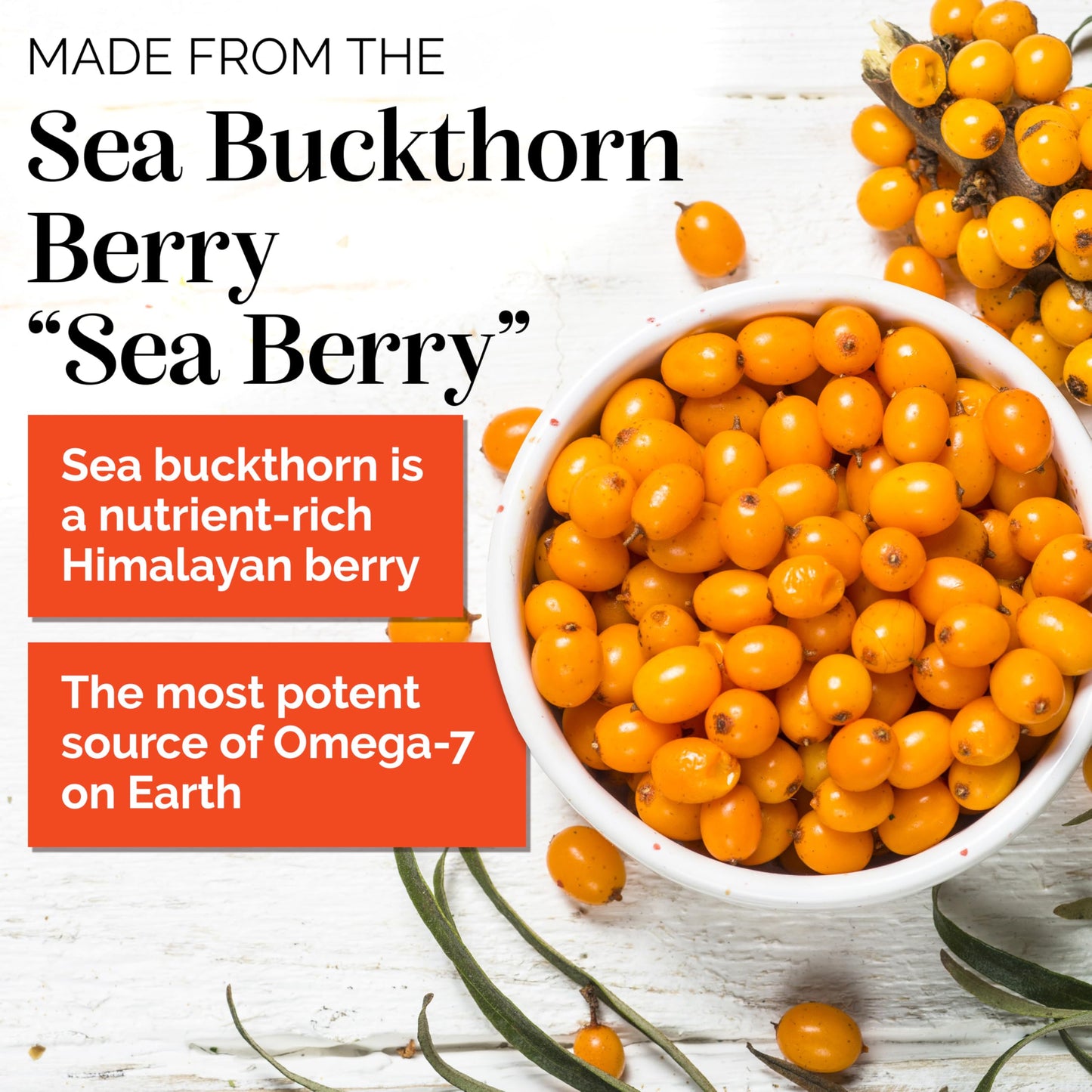 Sibu Sea Buckthorn Omega-7 Softgels – 90-Day Refill Sachet for Skin, Hair & Nails