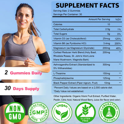 Sijigood Cortisol Gummies 2-Pack – Ashwagandha, Magnesium & L-Theanine (Mixed Berry, 120ct)