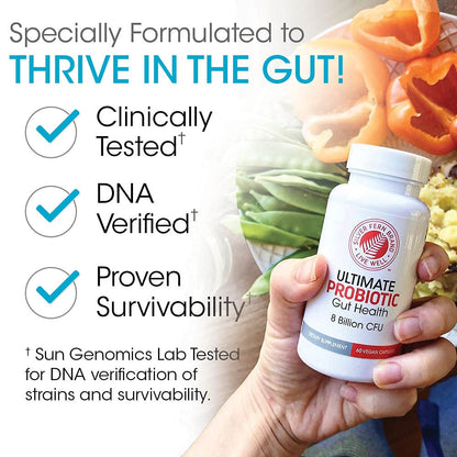 Silver Fern Brand Ultimate Probiotic 4-Pack – 8B CFU, DNA-Verified, Shelf-Stable (240 Capsules)