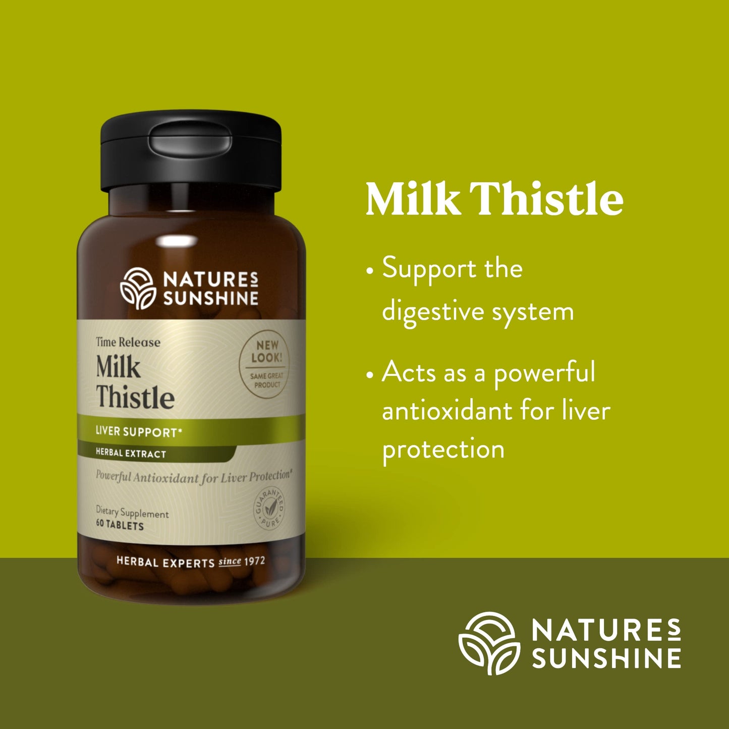 Nature's Sunshine Milk Thistle - 60 Time-Release Tablets | Digestive Support, Liver Health, Antioxidant