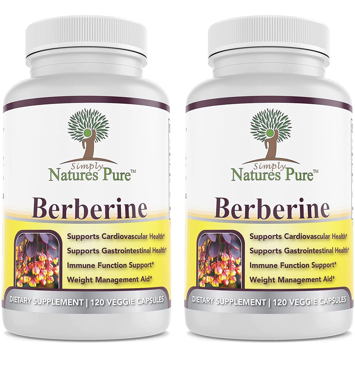 Simply Natures Pure Berberine HCl 500mg – 120 Capsules (Pack of 2) | Cardiovascular & GI Support