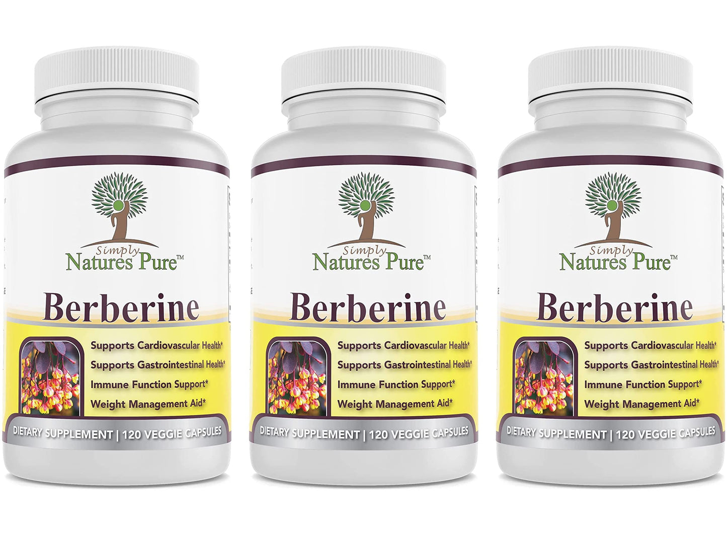 Simply Natures Pure Premium Berberine HCl 500mg - 120 Capsules - Cardiovascular GI Immune Support - Chromium Cinnamon (Pack of 3)