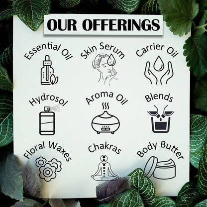 dève Herbes Cypress Essential Oil 5ml – Pure, Non-Greasy, Glass Dropper