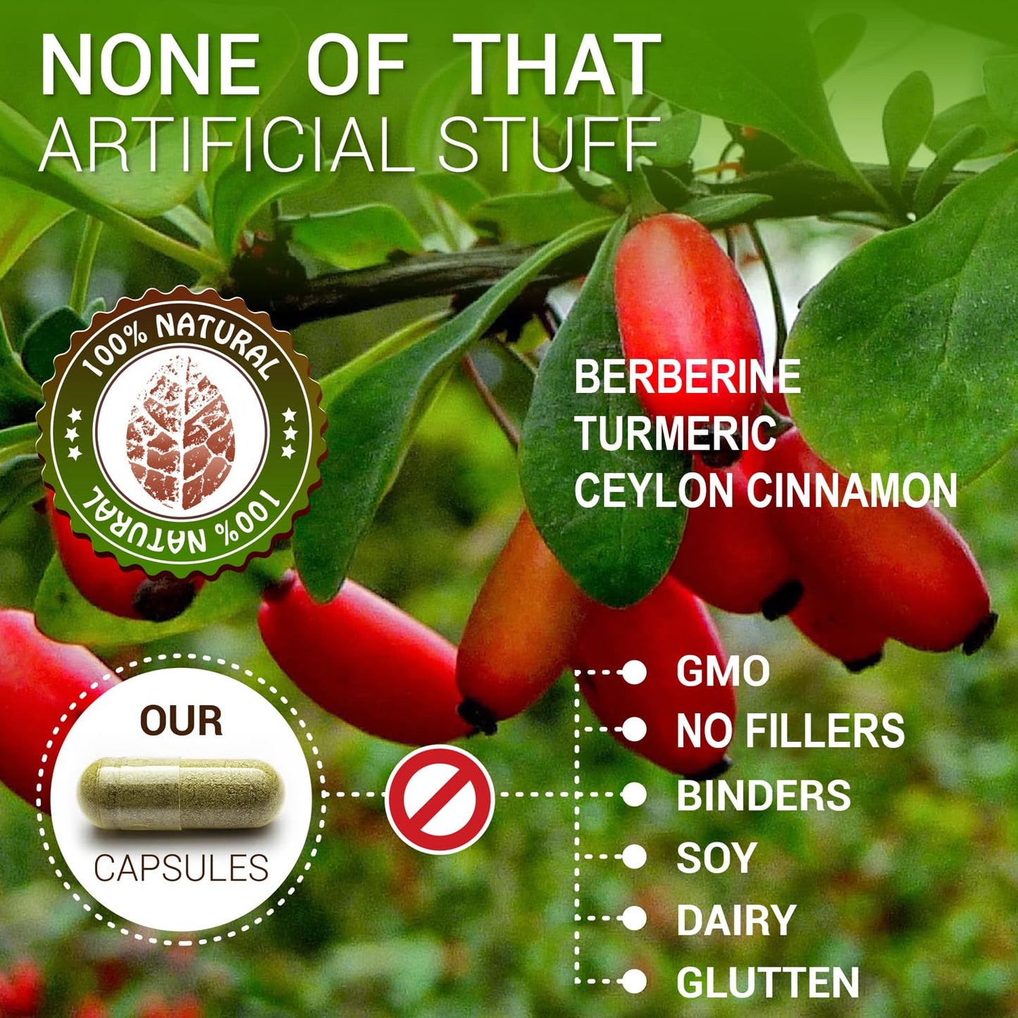 SIRUNES Berberine100 Capsules with Ceylon Cinnamon & Turmeric – Berberine HCL Non-GMO Dietary Supplement