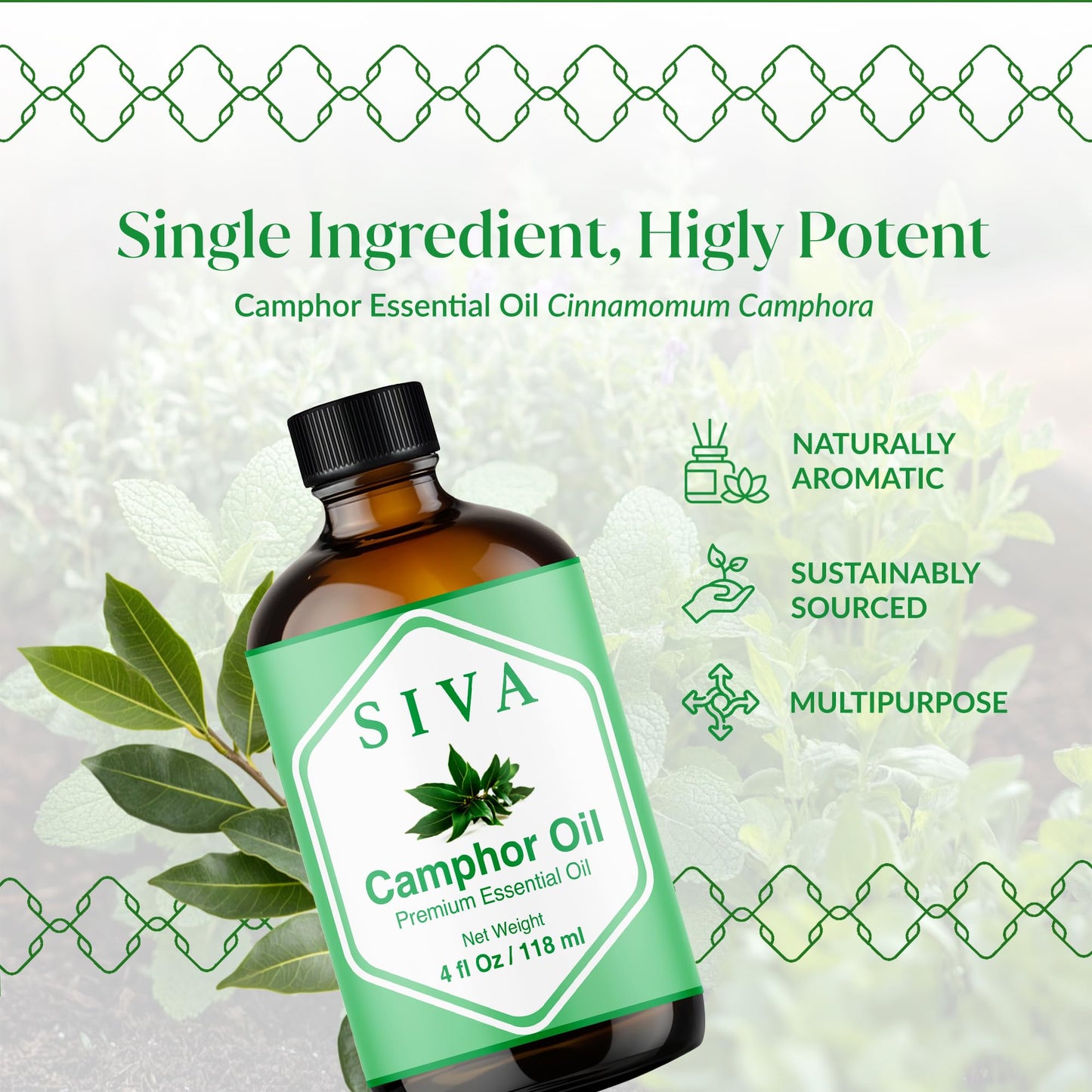 Siva Camphor Essential Oil - 4 Fl Oz | 100% Natural Camphor Oil with Dropper for Diffuser, Skin, Hair & Aromatherapy