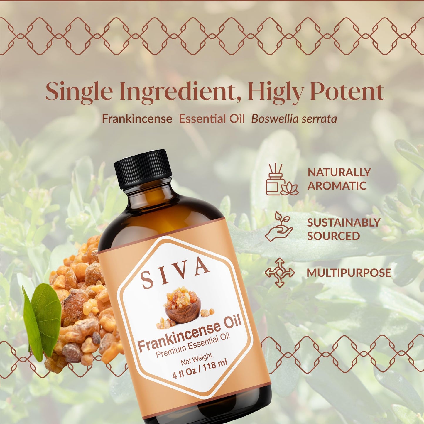 Siva Frankincense Essential Oil 4oz – 100% Natural Boswellia Serrata for Diffuser, Skin Care & Aromatherapy
