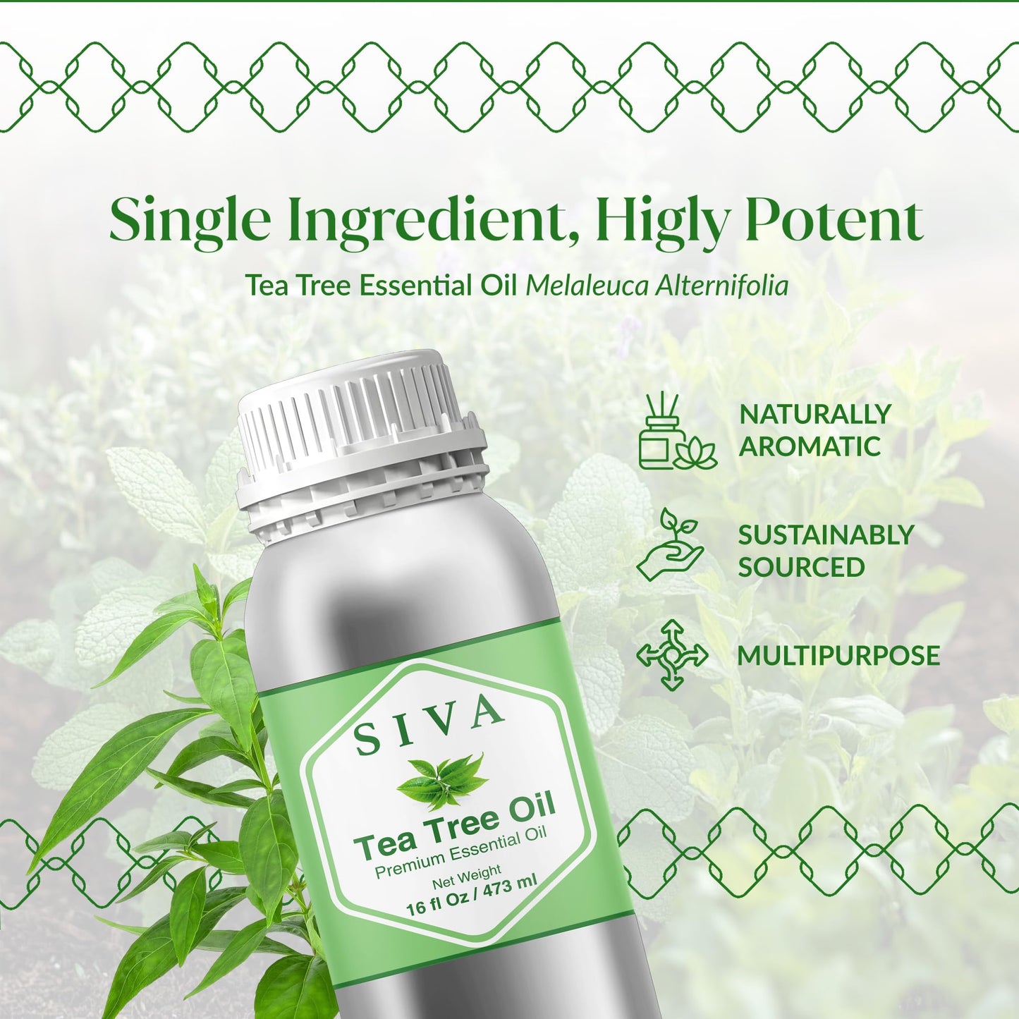 Siva Tea Tree Essential Oil 16 Oz – 100% Natural Tea Tree Oil for Diffuser, Skin, Hair & More