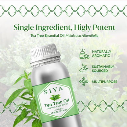 Siva Tea Tree Essential Oil 16 Oz – 100% Natural Tea Tree Oil for Diffuser, Skin, Hair & More
