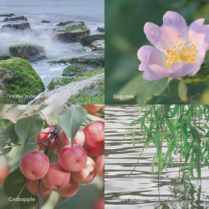 Skandinavisk Øy Island Scent Diffuser – 8 Scents, Crabapple & Dog Rose, 3.38 fl oz