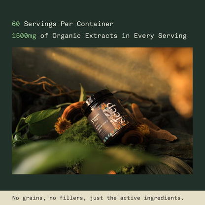 Mushroom Sleep Supplement — Reishi, Passionflower & Hops | 100% USDA Organic, Vegan, 120 Caps