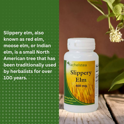 Slippery Elm 400 Mg - 100 Capsules GI Coat | Rachel's Tea Brand