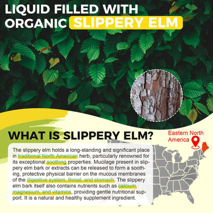 Slippery Elm Liquid Drops with Marshmallow Root & DGL – Digestive Health, Throat & Immune Support – Vegan 60ML