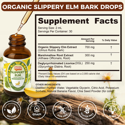 Slippery Elm Liquid Drops with Marshmallow Root & DGL – Digestive Health, Throat & Immune Support – Vegan 60ML