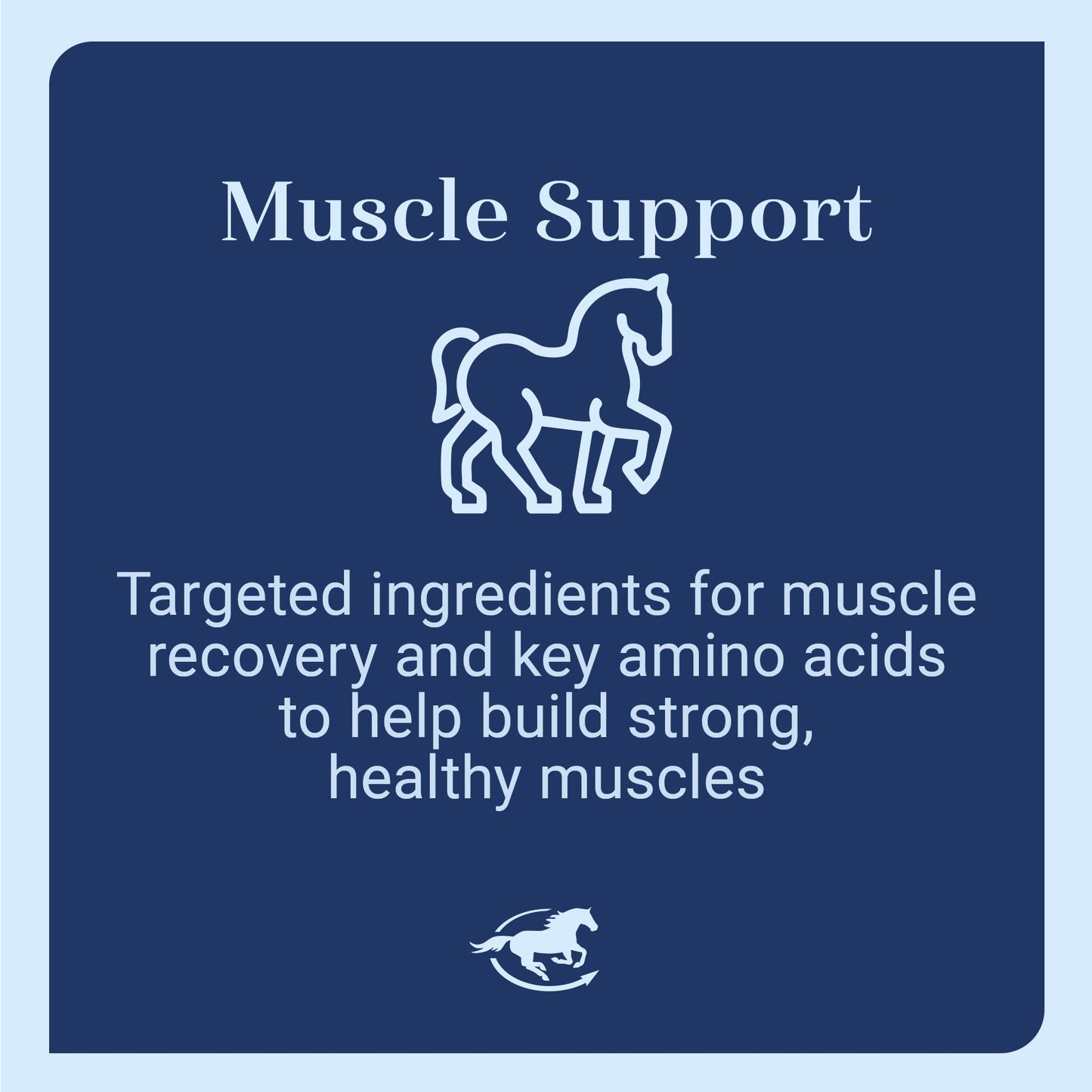 SmartEquine Acetyl L-Carnitine HCL Powder – Horse Energy & Muscle