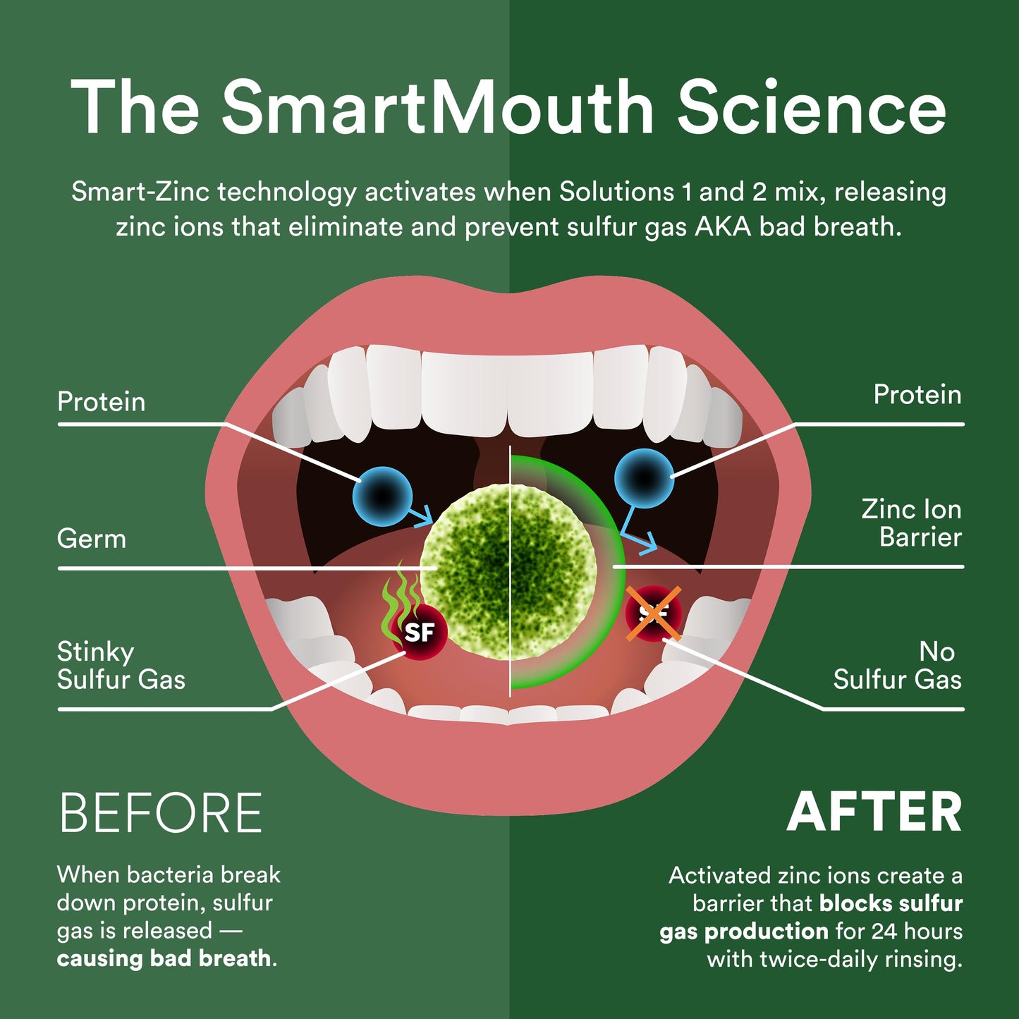 SmartMouth Original Activated Mouthwash & Tongue Cleaner – Mint (Pack of 2)