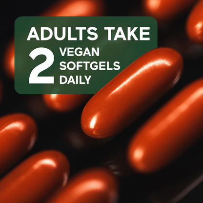 SMARTERNUTRITION Curcumin Softgels – Vegan 400 mg, High Absorption, Black Seed Oil & Ginger, 360 Ct