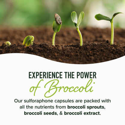 SMNutrition 50MG Sulforaphane Supplement from Broccoli Sprouts | NRF2 Activation & Immune Support