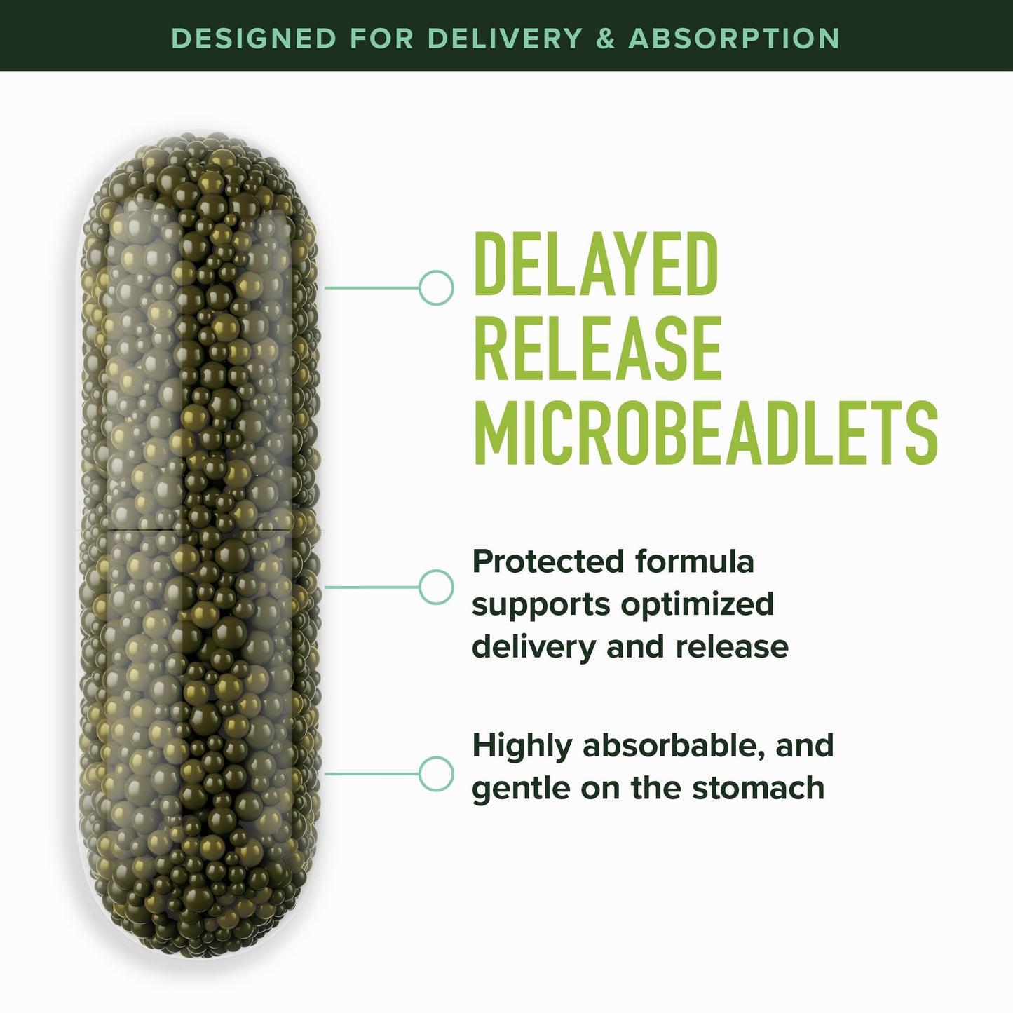 SMNutrition 50MG Sulforaphane Supplement from Broccoli Sprouts | NRF2 Activation & Immune Support
