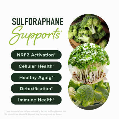 SMNutrition 50MG Sulforaphane Supplement from Broccoli Sprouts | NRF2 Activation & Immune Support