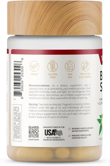 Snap Supplements Blood Sugar Blend — CoQ10, Cinnamon, Gymnema, Alpha Lipoic Acid, Sugar Free, 60 Capsules, 2 Pack