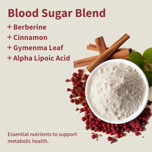 Snap Supplements Blood Sugar Blend — CoQ10, Cinnamon, Gymnema, Alpha Lipoic Acid, Sugar Free, 60 Capsules, 2 Pack