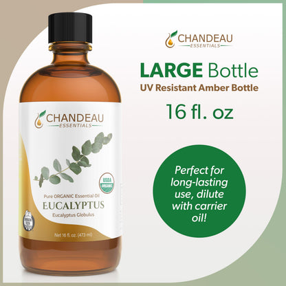 Chandeau Essentials 100% Pure Organic Eucalyptus Essential Oil – 16 oz Amber Bottle