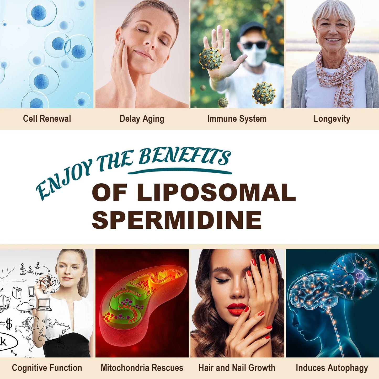 Sohahila Spermidine Supplement 15 MG – Liposomal, 99% Purity, 180 Softgels with Fermented Wheat Germ Extract