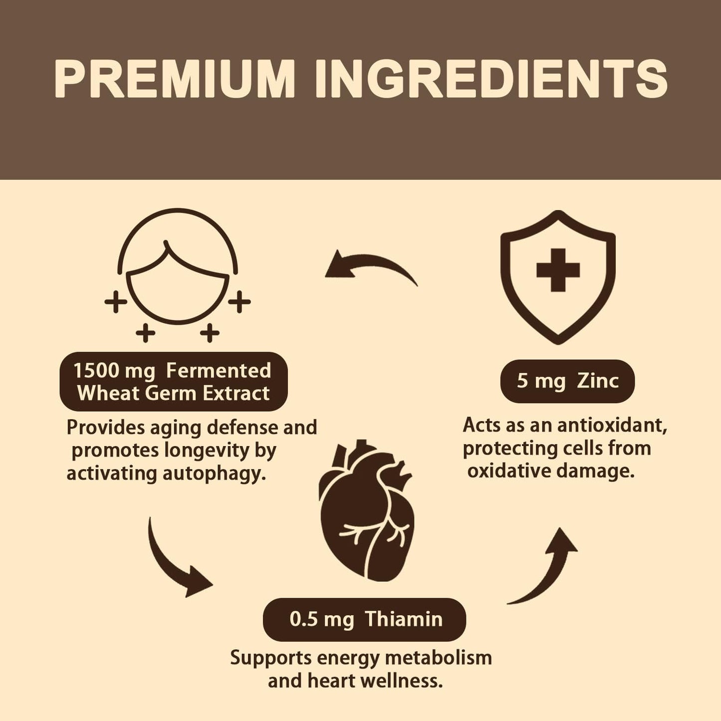 Sohahila Spermidine Supplement 15 MG – Liposomal, 99% Purity, 180 Softgels with Fermented Wheat Germ Extract