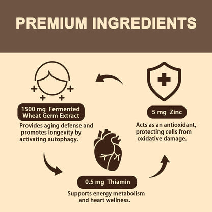 Sohahila Spermidine Supplement 15 MG – Liposomal, 99% Purity, 180 Softgels with Fermented Wheat Germ Extract