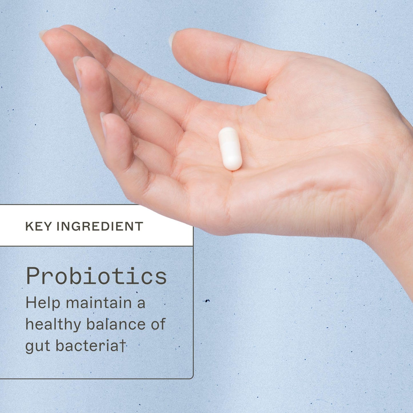 Amy Myers MD Primal Earth Probiotic – Soil-Based Probiotic for Digestive & Immune Support | Gluten-Free & Dairy-Free | Paleo-Friendly | 30 Capsules