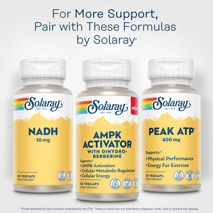 Solaray AMPK Activator Plus Dihydroberberine – Clinically Backed Ingredient – Advanced Berberine Supplement – Cellular Energy and Metabolism Support – 60-Day Guarantee – 60 VegCaps